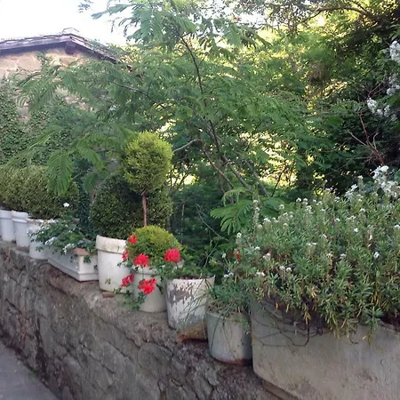 Apartment Il Rosmarino