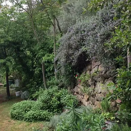 Apartment Il Rosmarino