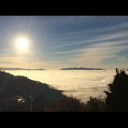 Il Rosmarino Pelago